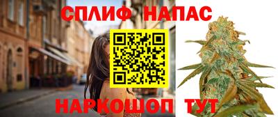 молекула духа Пенза